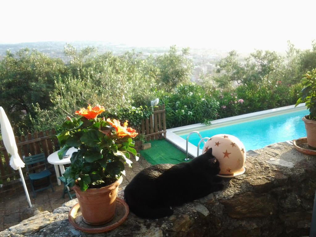 Casa Vacanze Al Settimo Cielo มาสซา ภายนอก รูปภาพ
