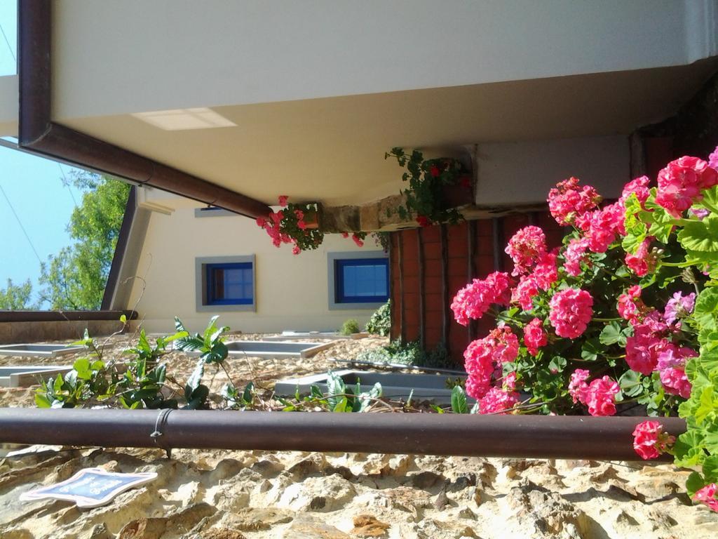 Casa Vacanze Al Settimo Cielo มาสซา ภายนอก รูปภาพ